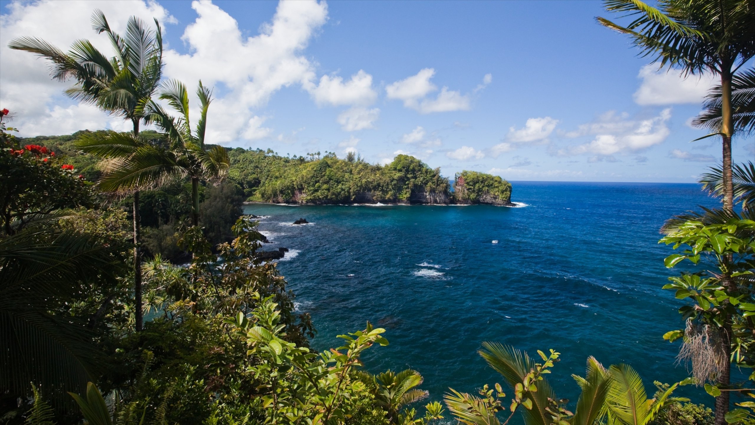 Hamakua Coast, Laupahoehoe, Hawaii, US