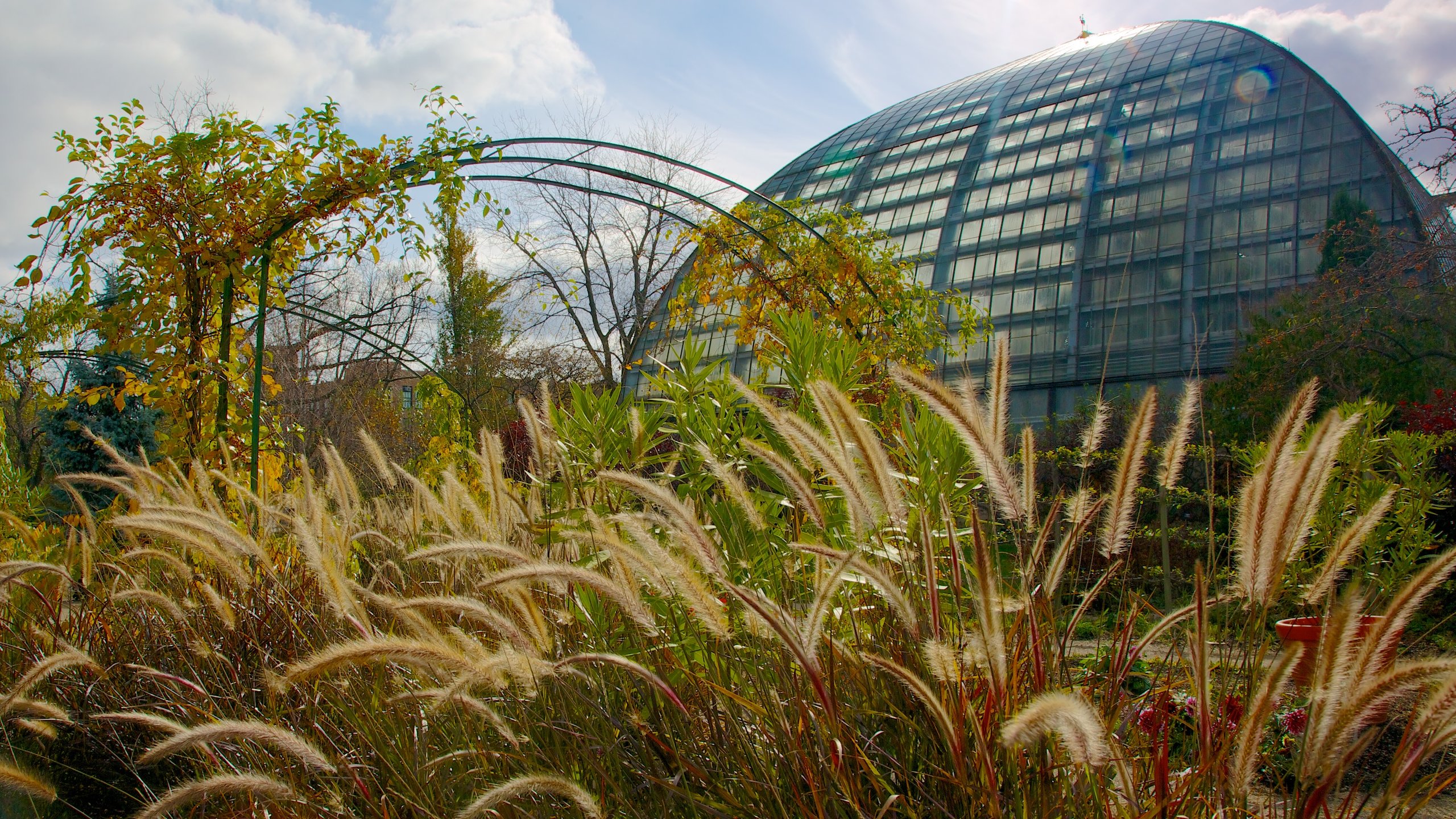Grand Food Center, Winnetka, Illinois, US