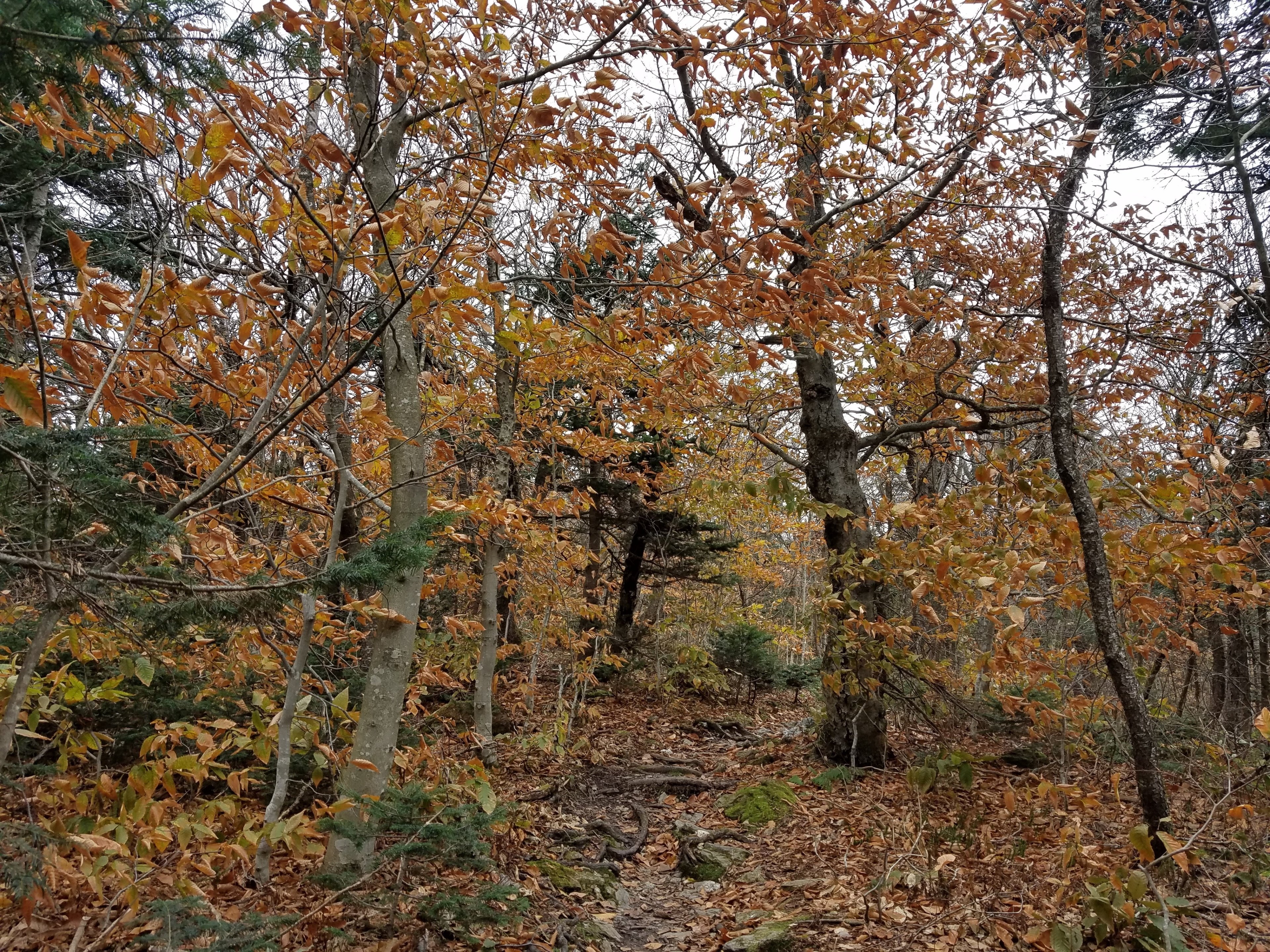 Franklin County, Massachusetts, US