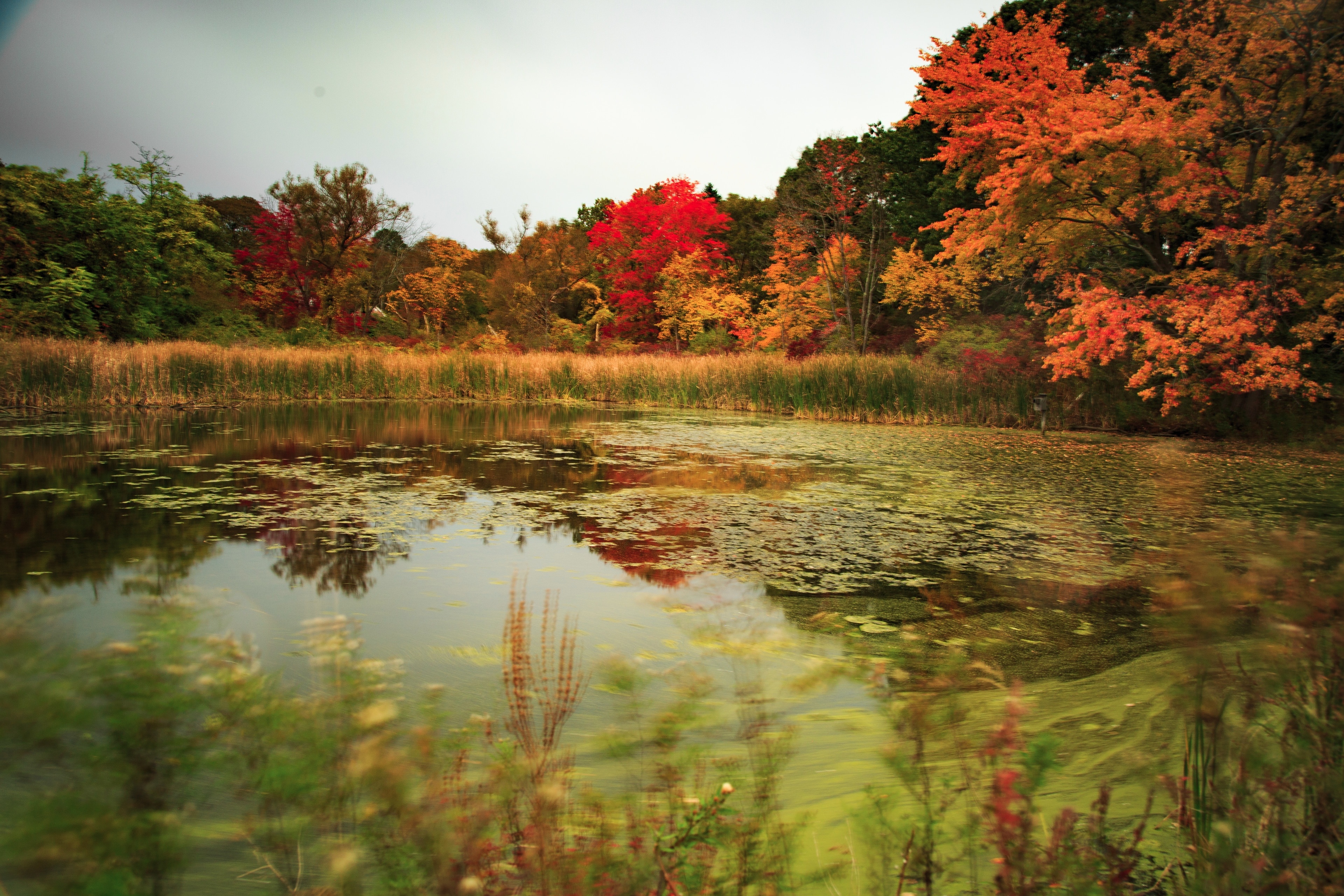 Old Sturbridge Village, Sturbridge, Massachusetts, US