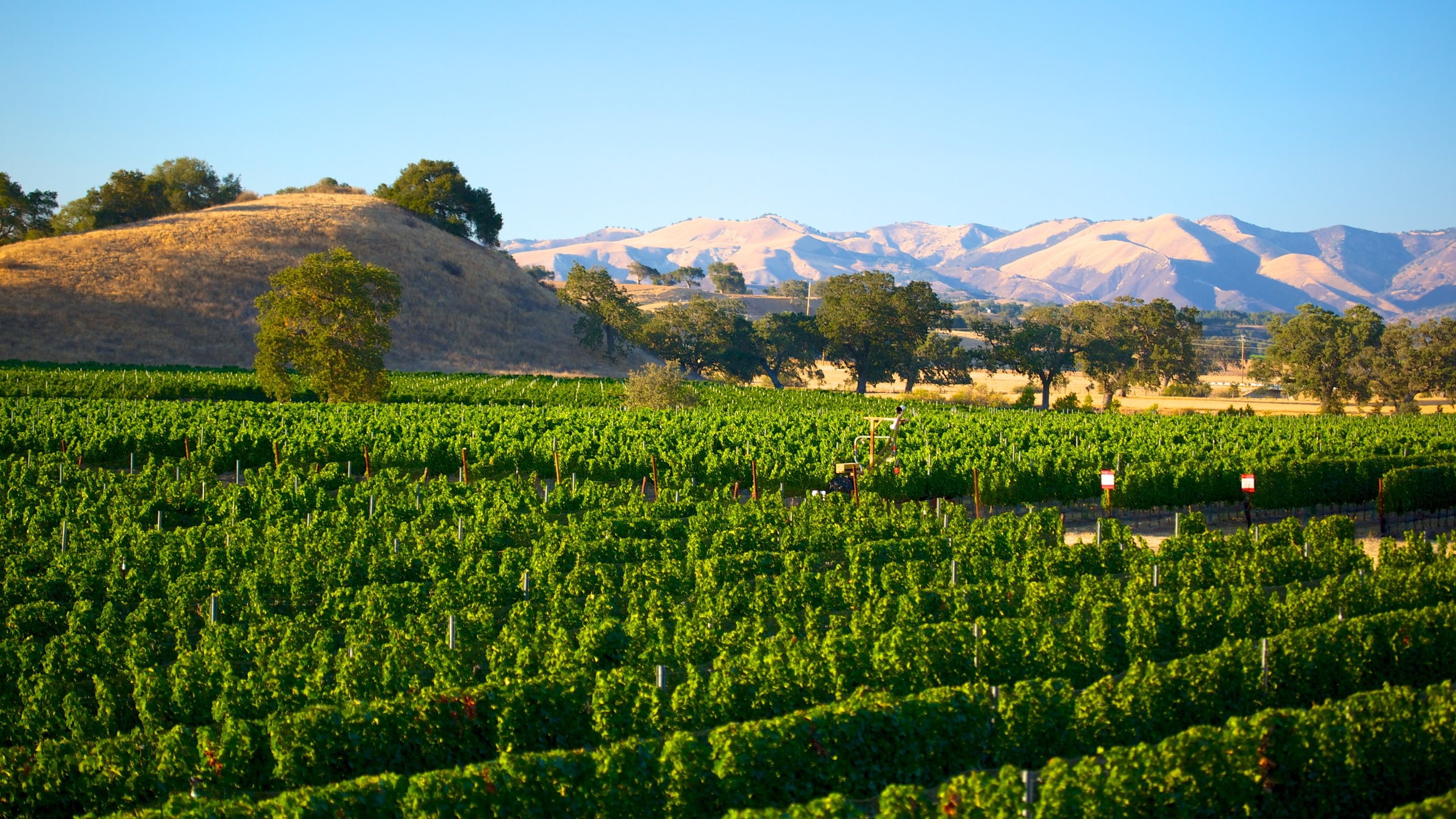 Hamilton, Montana, US