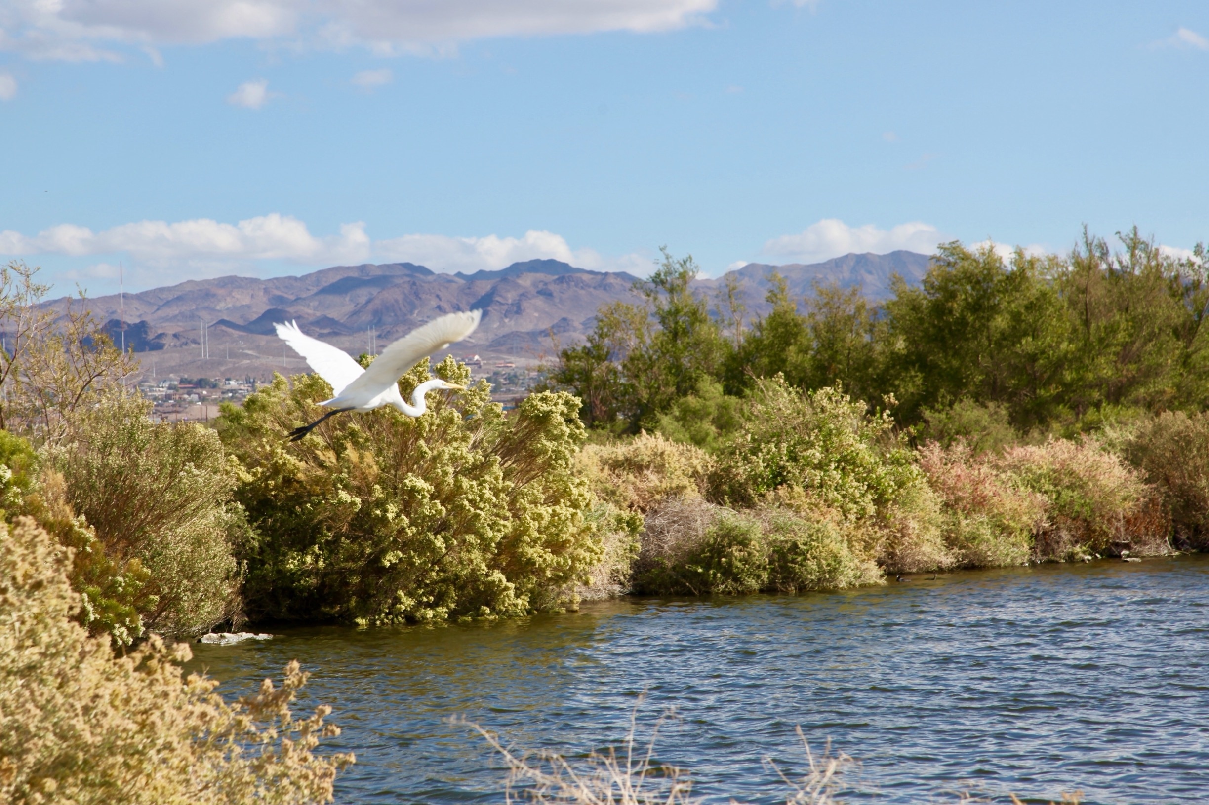 Clark County, Nevada, US