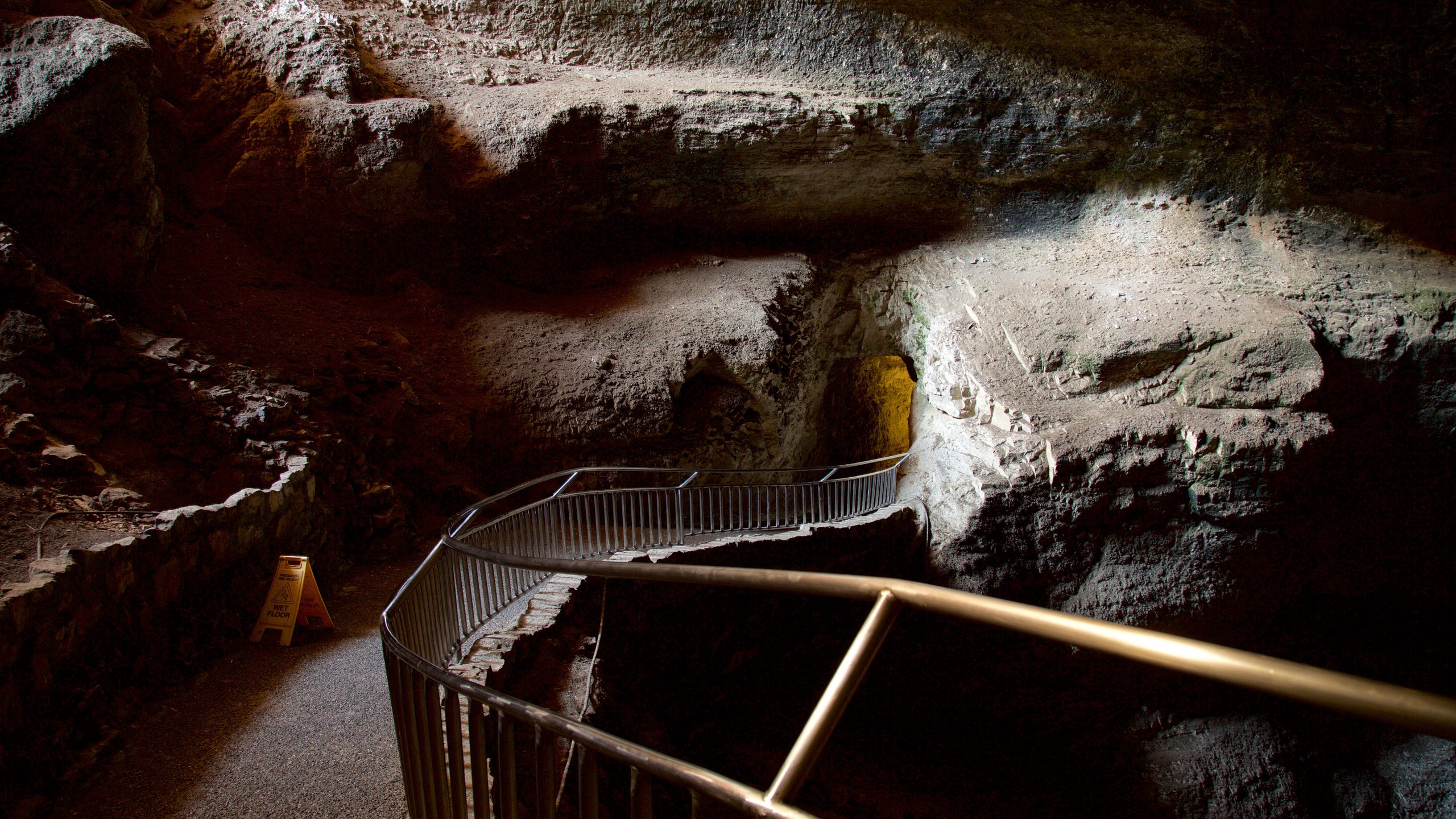 Chihuahuan Desert, New Mexico, US