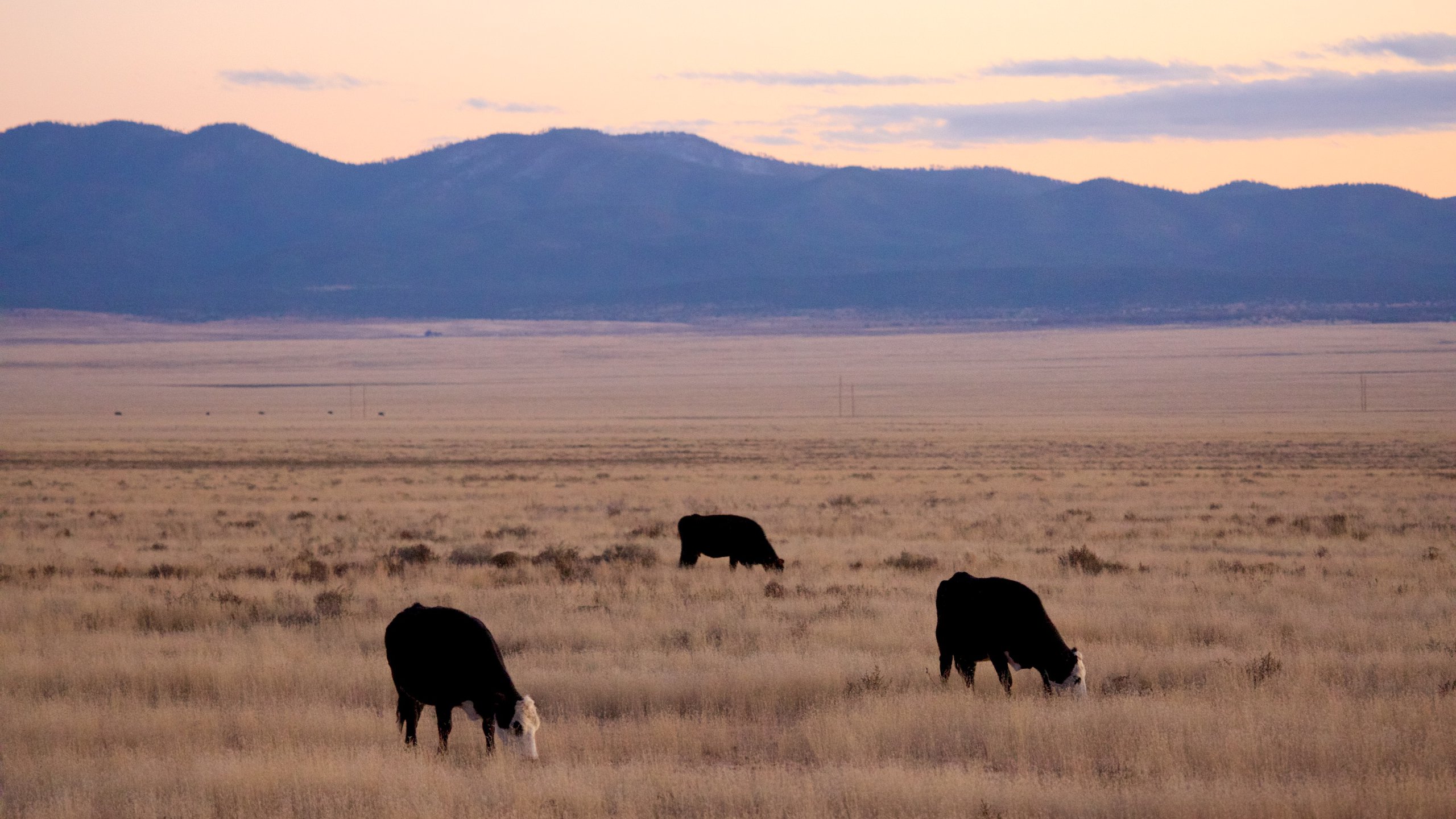 Very Large Array, Socorro, New Mexico, US