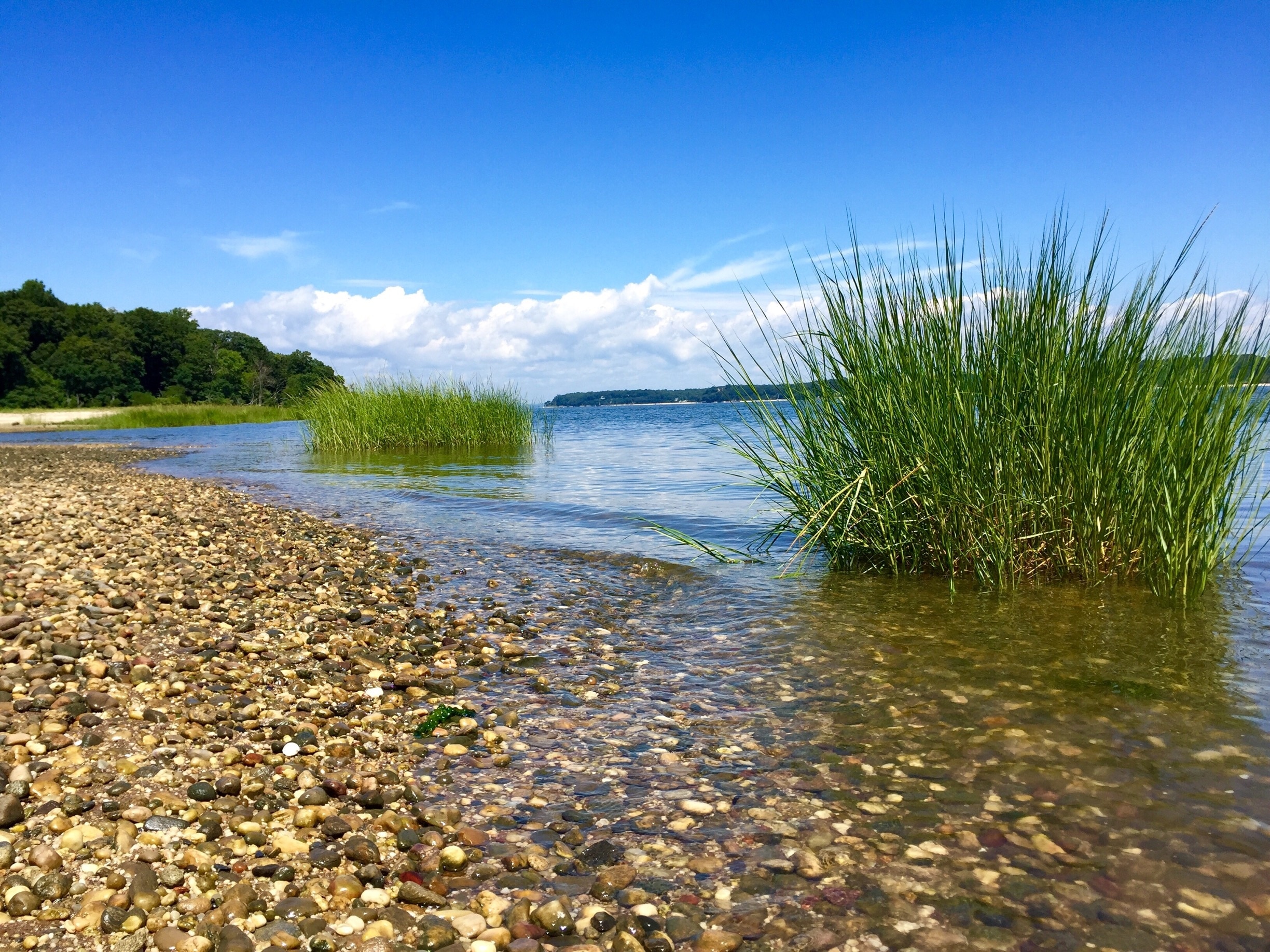 Oyster Bay, New York, US