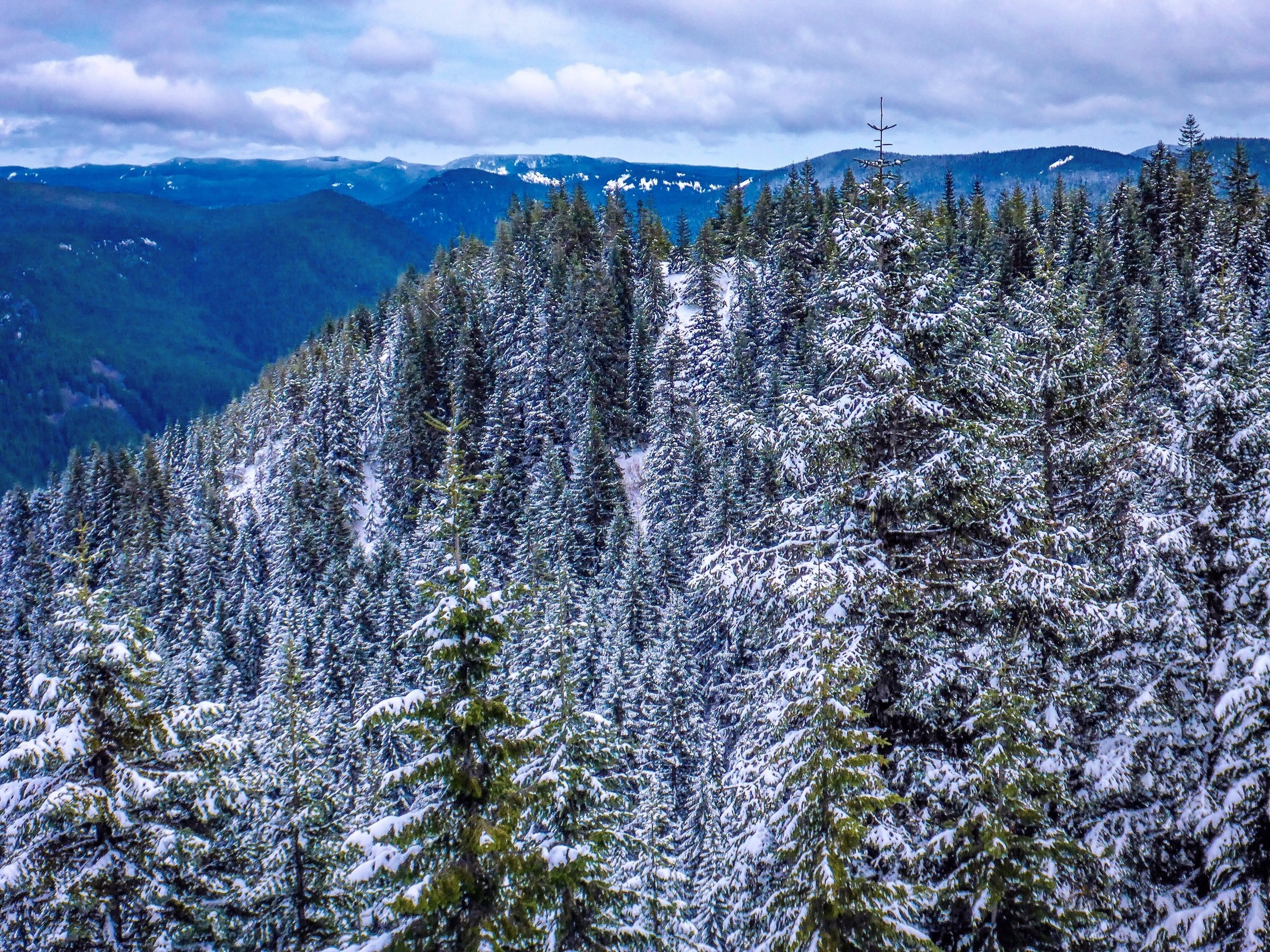 Columbia River Gorge, Oregon, US