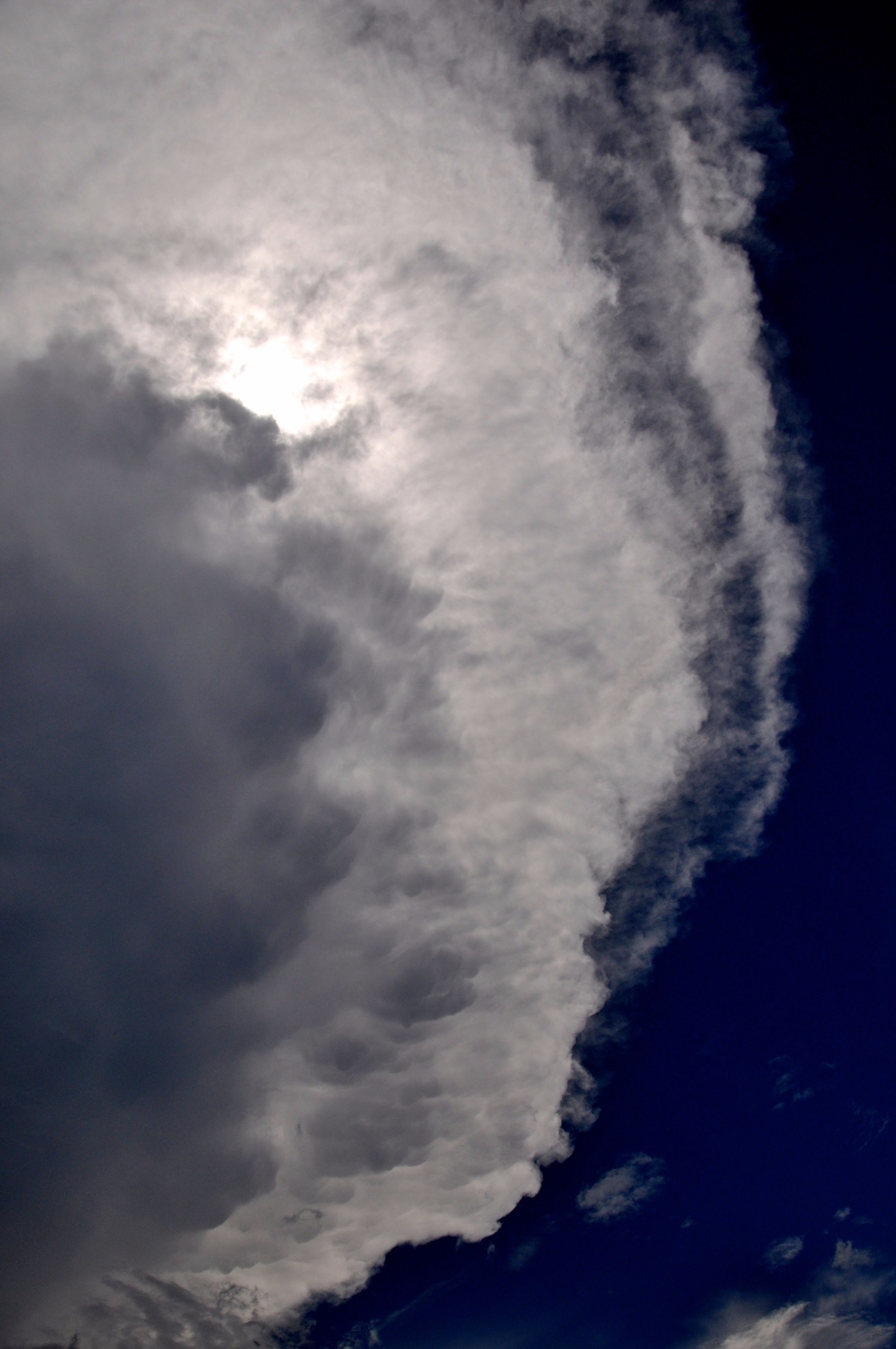 Cypress Gardens, Moncks Corner, South Carolina, US