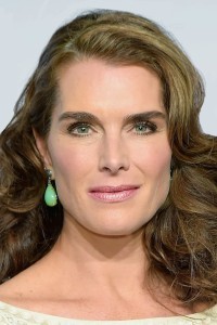 Brooke Shields as Sophie in A Castle for Christmas (11/2021)