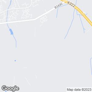 Swinley Forest, Bracknell, England, GB