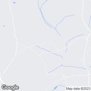 Burnham Beeches, Slough, England, GB