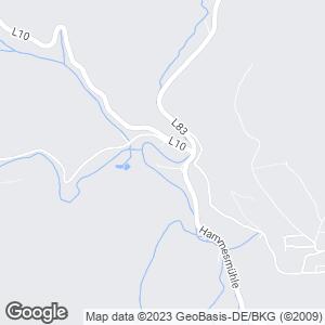 Schloss Bürresheim, Sankt Johann, Rheinland-Pfalz, DE