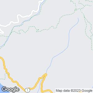 Mt. Tamalpais State Park, Mill Valley, California, US