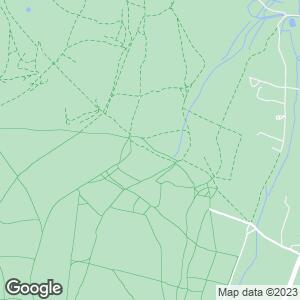 Hankley Common, Elstead, Farnham, England, GB