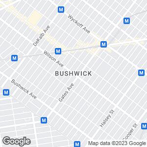Bushwick, New York, US
