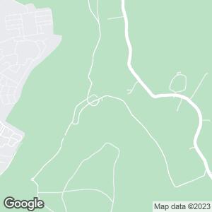 Wendover Woods, Tring, England, GB