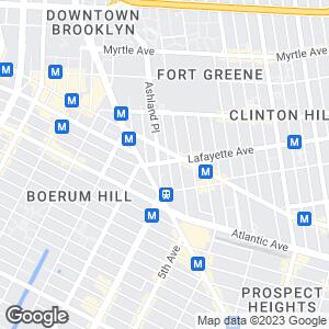 Howard Gilman Opera House - 30 Lafayette Avenue, New York, US