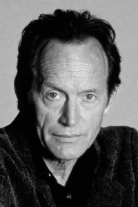 Lance Henriksen as Sgt. Freddy Ross in Jennifer Eight (11/1992)