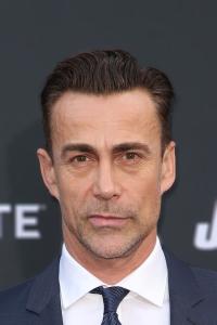 Daniel Bernhardt as Stunts in John Wick: Chapter 2 (02/2017)