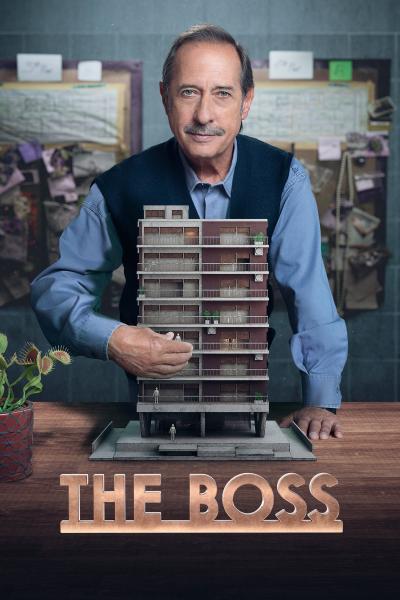 The Boss poster image