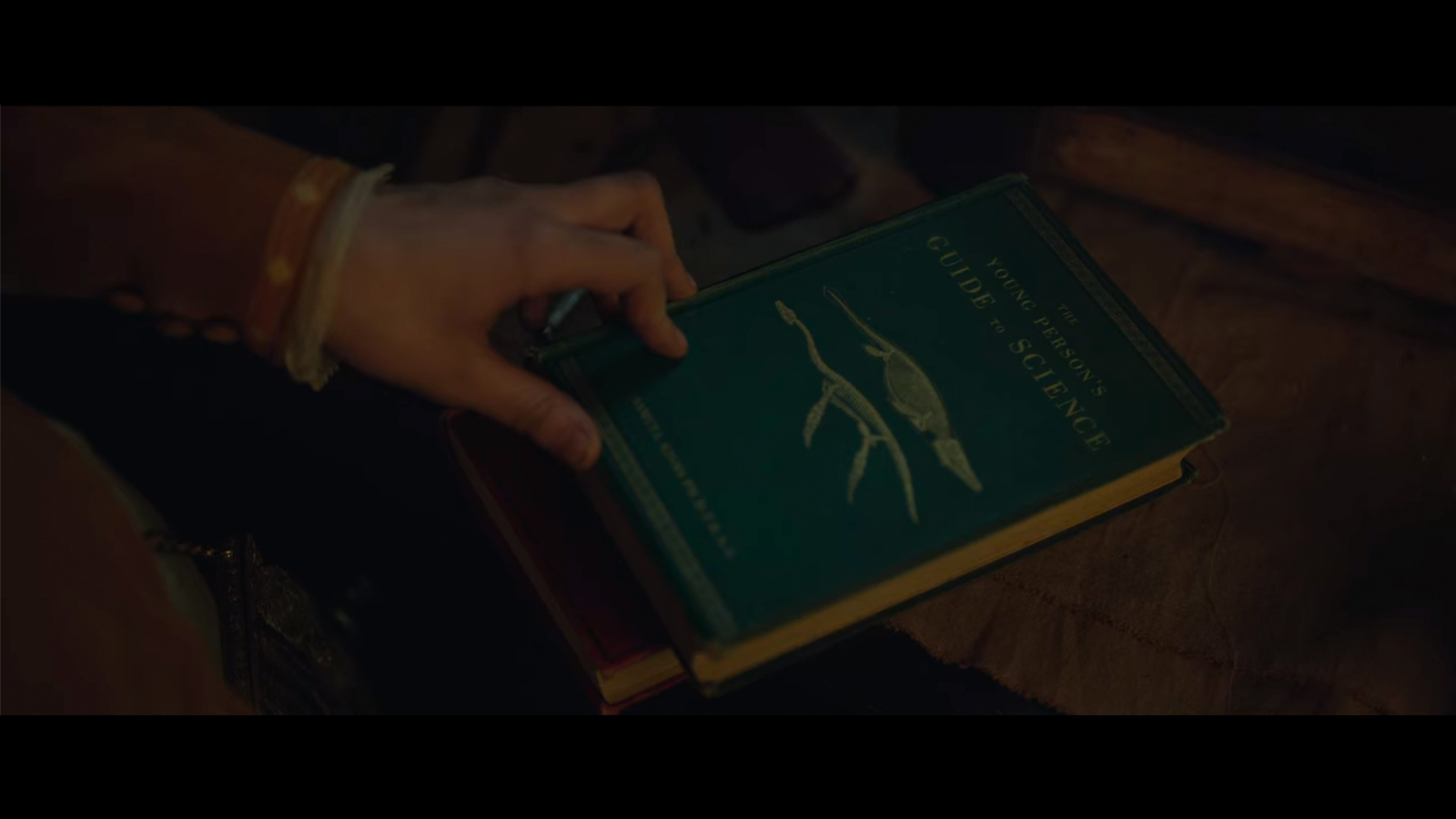 The Young Person’s Guide to Science